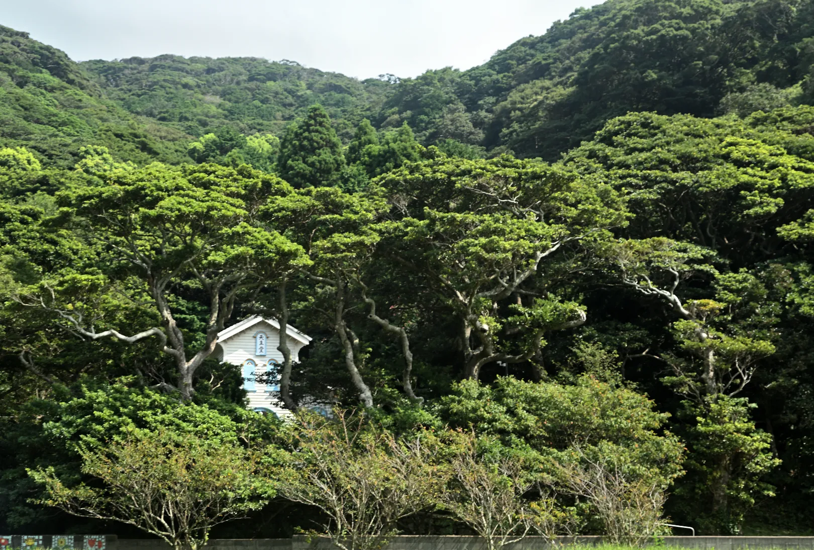 江上天主堂