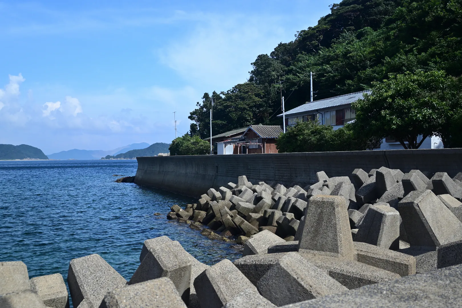港